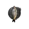 Buy Fish Online, Fish Online, Boneless Fish Online, Buy Boneless Fish online, Buy fish Boneless online, Fish buying online, buying fish online, fish in online, online fish buying, fish online, fish buy online, online fish shopping app
