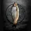 Buy Fish Online, Fish Online, Boneless Fish Online, Buy Boneless Fish online, Buy fish Boneless online, Fish buying online, buying fish online, fish in online, online fish buying, fish online, fish buy online, online fish shopping app