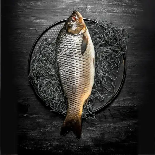 Buy Fish Online, Fish Online, Boneless Fish Online, Buy Boneless Fish online, Buy fish Boneless online, Fish buying online, buying fish online, fish in online, online fish buying, fish online, fish buy online, online fish shopping app